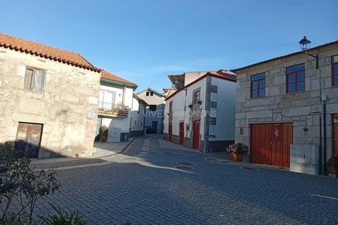 Gård i Tabuaco, Viseu, Tabuaco - € 355 000 | Ref: MF-RMR - foto 27