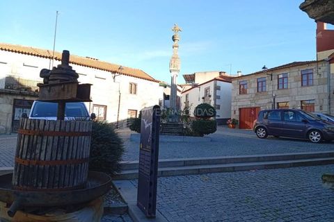 Gård i Tabuaco, Viseu, Tabuaco - € 355 000 | Ref: MF-RMR - foto 31