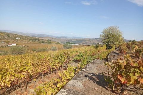 Farm i Tabuaco, Viseu, Tabuaco - € 290.000 | Ref: MF-FRD - foto 2