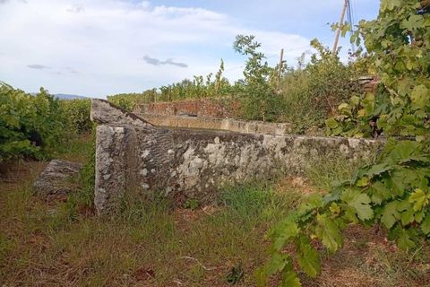 Farm i Tabuaco, Viseu, Tabuaco - € 290.000 | Ref: MF-FRD - foto 4