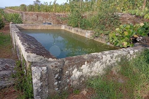 Farm i Tabuaco, Viseu, Tabuaco - € 290.000 | Ref: MF-FRD - foto 5