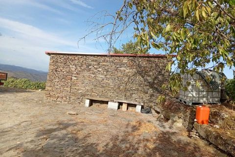 Farm i Tabuaco, Viseu, Tabuaco - € 290.000 | Ref: MF-FRD - foto 13