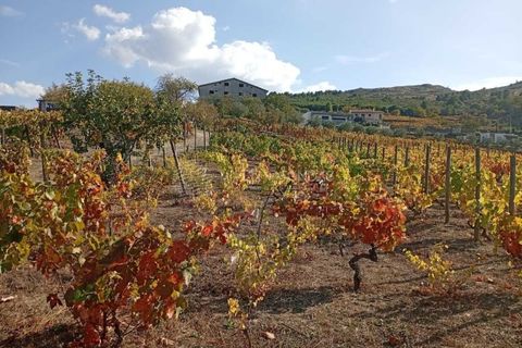 Farm i Tabuaco, Viseu, Tabuaco - € 290.000 | Ref: MF-FRD - foto 17