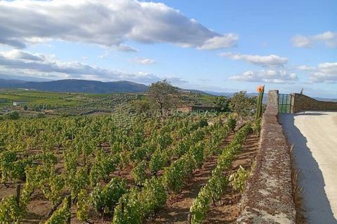 Farm i Tabuaco, Viseu, Tabuaco - € 290.000 | Ref: MF-FRD - foto 18