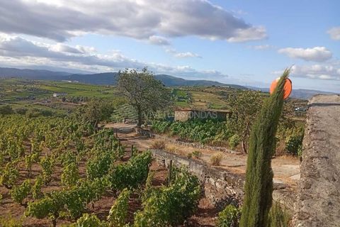 Farm i Tabuaco, Viseu, Tabuaco - € 290.000 | Ref: MF-FRD - foto 19