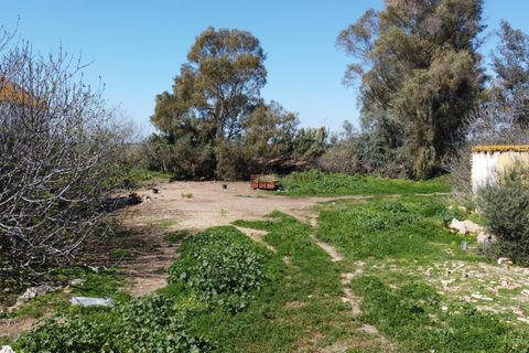 Terra a Huelva, Huelva, Huelva - € 395.000 | Ref: RAC002261/10841 - foto 15