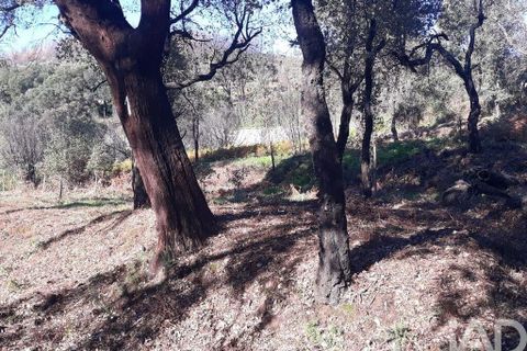 Helårsgrund i Monchique, Faro, Monchique - € 27.000 | Ref: 849283 - foto 2