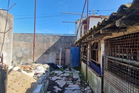 Byhus i Mafra, Lisbon, Mafra - € 435.000 | Ref: 796652 - foto 4