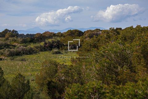 Leilighet i Llucmajor, Mallorca, Llucmajor - € 569 000 | Ref: MAL67759 - foto 23
