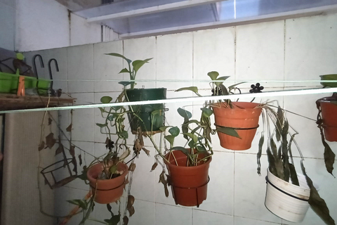 Lejlighed i Elche, Alicante, Elche - € 199.500 | Ref: 1RE1214 - foto 16