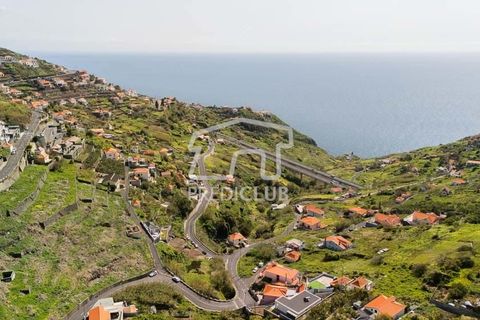 Villa i Ribeira Brava, Madeira, Ribeira Brava - € 395.000 | Ref: 12058-NP - foto 2