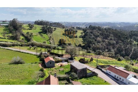 Villa i Caldas da Rainha, Leiria, Caldas da Rainha - € 100.000 | Ref: CAS_889_AG - foto 20