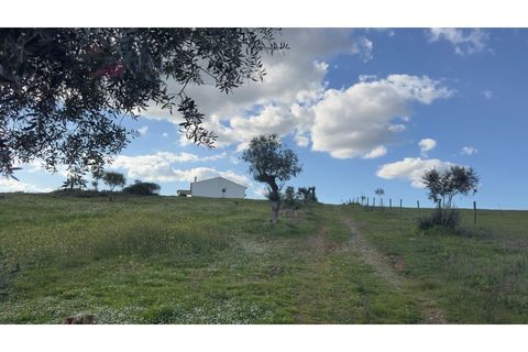 Farm i Estremoz, Evora, Estremoz - € 1.450.000 | Ref: MAS_3199 - foto 11