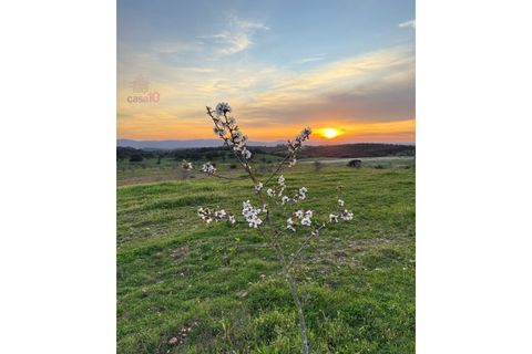 Farm i Estremoz, Evora, Estremoz - € 1.450.000 | Ref: MAS_3199 - foto 46
