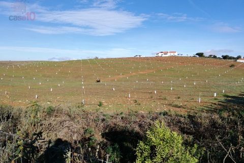 Farm i Estremoz, Evora, Estremoz - € 1.450.000 | Ref: MAS_3199 - foto 47
