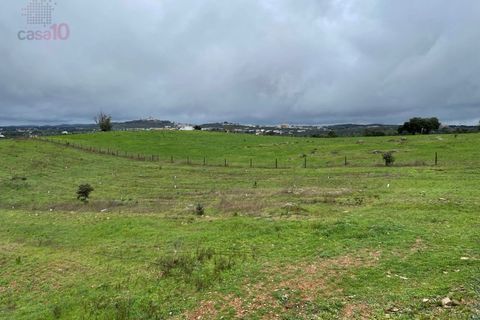 Farm i Estremoz, Evora, Estremoz - € 1.450.000 | Ref: MAS_3199 - foto 48