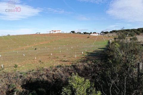 Farm i Estremoz, Evora, Estremoz - € 1.450.000 | Ref: MAS_3199 - foto 49