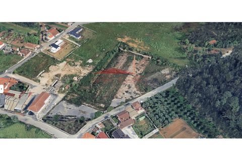 Terra a Barro, Aveiro, Barro - € 258.000 | Ref: AV466 - foto 2
