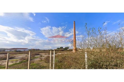 Terra a Barro, Aveiro, Barro - € 258.000 | Ref: AV466 - foto 3