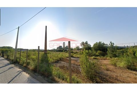 Terra a Barro, Aveiro, Barro - € 258.000 | Ref: AV466 - foto 5