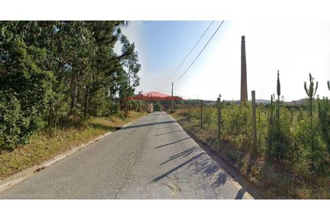 Terra a Barro, Aveiro, Barro - € 258.000 | Ref: AV466 - foto 6