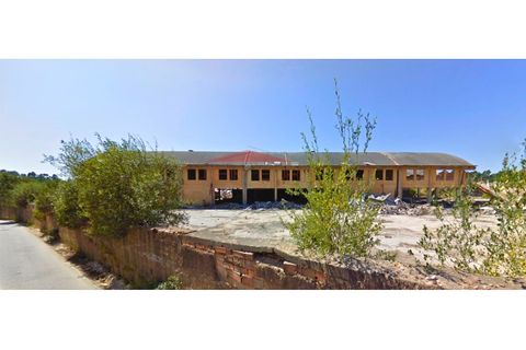 Terra a Barro, Aveiro, Barro - € 258.000 | Ref: AV466 - foto 7