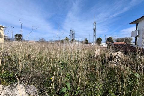 Terra a Darque, Viana do Castelo, Darque - € 97.000 | Ref: D420 - foto 4