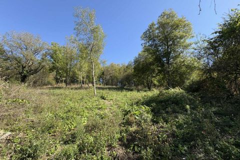 Terra a Le Menoux, Indre, Le Menoux - € 12.500 | Ref: 360021882 - foto 2