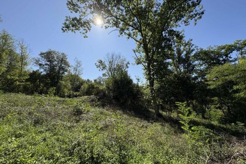 Terra a Le Menoux, Indre, Le Menoux - € 12.500 | Ref: 360021882 - foto 3