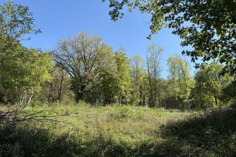 Terra a Le Menoux, Indre, Le Menoux - € 12.500 | Ref: 360021882 - foto 5