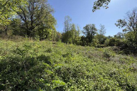 Terra a Le Menoux, Indre, Le Menoux - € 12.500 | Ref: 360021882 - foto 6