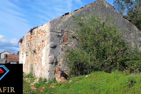 Erhvervsejendom i Tomar, Santarem, Tomar - € 320.000 | Ref: HD32 - foto 8