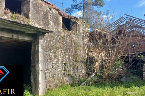 Erhvervsejendom i Tomar, Santarem, Tomar - € 320.000 | Ref: HD32 - foto 15