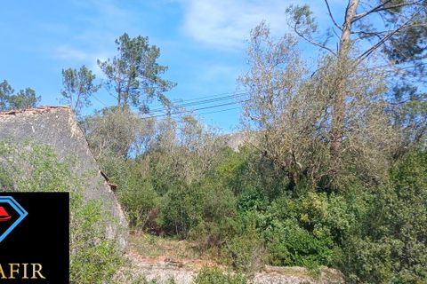 Erhvervsejendom i Tomar, Santarem, Tomar - € 320.000 | Ref: HD32 - foto 18