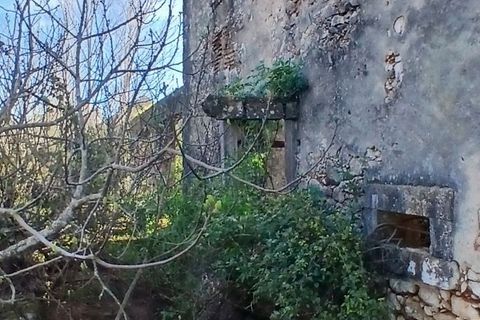 Erhvervsejendom i Tomar, Santarem, Tomar - € 320.000 | Ref: HD32 - foto 19