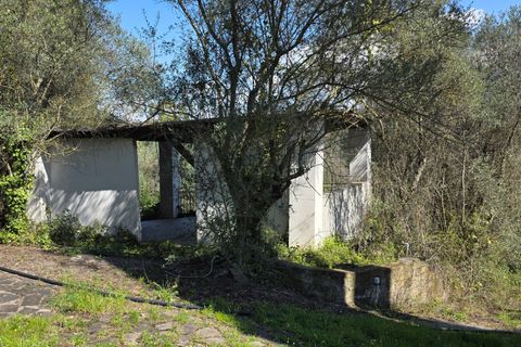 Villa a Morlupo, Rome, Morlupo - € 290.000 | Ref: 1751 - foto 27