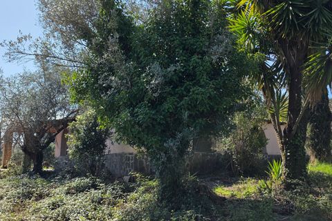 Villa a Morlupo, Rome, Morlupo - € 290.000 | Ref: 1751 - foto 28
