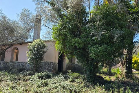 Villa a Morlupo, Rome, Morlupo - € 290.000 | Ref: 1751 - foto 29