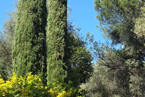 Villa a Morlupo, Rome, Morlupo - € 290.000 | Ref: 1751 - foto 30