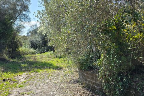 Villa a Morlupo, Rome, Morlupo - € 290.000 | Ref: 1751 - foto 33