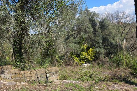 Villa a Morlupo, Rome, Morlupo - € 290.000 | Ref: 1751 - foto 34