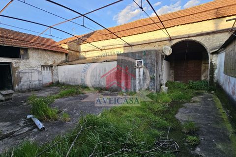 Villa i Aveiro, Aveiro, Aveiro - € 210.000 | Ref: 21140 - foto 20