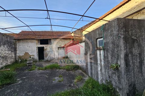 Villa i Aveiro, Aveiro, Aveiro - € 210.000 | Ref: 21140 - foto 22