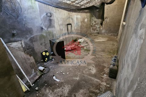 Villa i Aveiro, Aveiro, Aveiro - € 210.000 | Ref: 21140 - foto 28