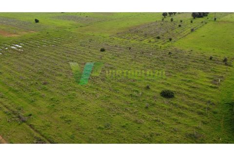 Helårsgrund i Paderne, Faro, Paderne - € 40.000 | Ref: LT-7238 - foto 11
