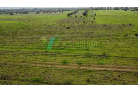 Helårsgrund i Paderne, Faro, Paderne - € 40.000 | Ref: LT-7238 - foto 1
