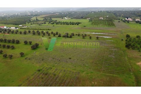 Helårsgrund i Paderne, Faro, Paderne - € 40.000 | Ref: LT-7238 - foto 15