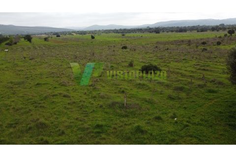 Helårsgrund i Paderne, Faro, Paderne - € 40.000 | Ref: LT-7238 - foto 18
