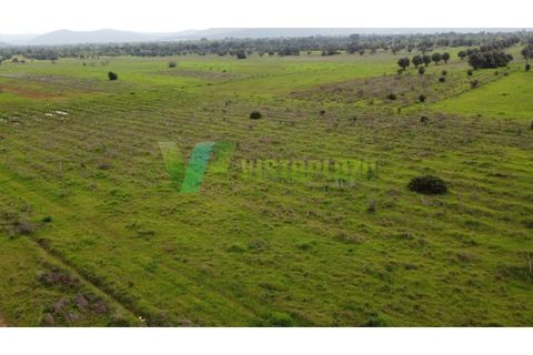 Helårsgrund i Paderne, Faro, Paderne - € 40.000 | Ref: LT-7238 - foto 19