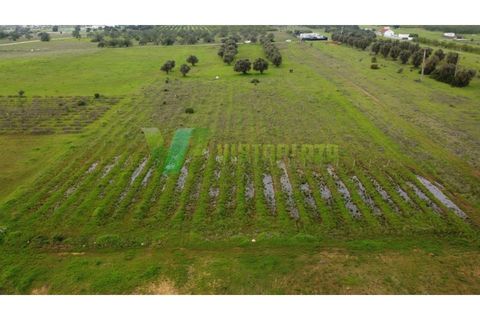 Helårsgrund i Paderne, Faro, Paderne - € 40.000 | Ref: LT-7238 - foto 22